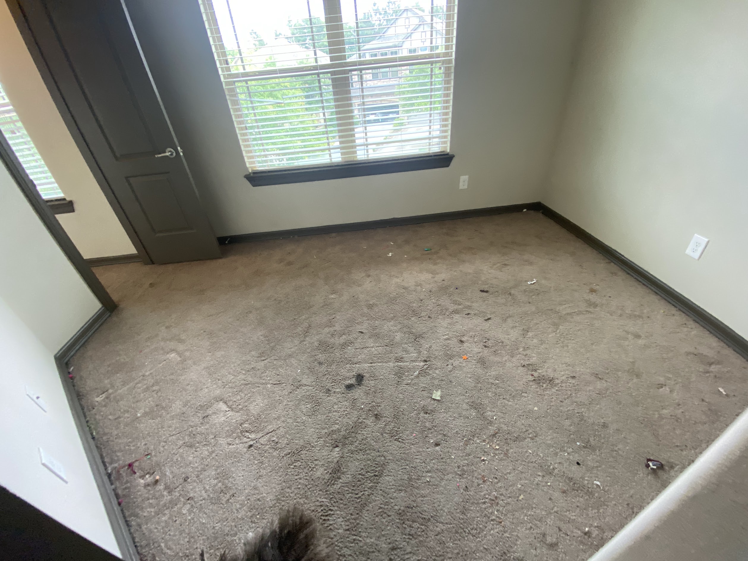 Gallery image 2 — office cleaning Houston