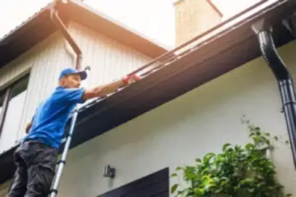 Gallery image 7 — driveway washing Palm Harbor