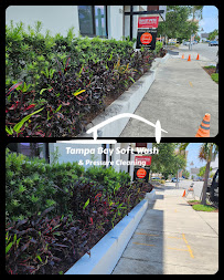 About roof cleaning Clearwater FL