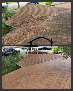 Gallery image 3 — roof cleaning Clearwater FL