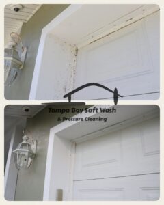 Gallery image 5 — roof cleaning Clearwater FL