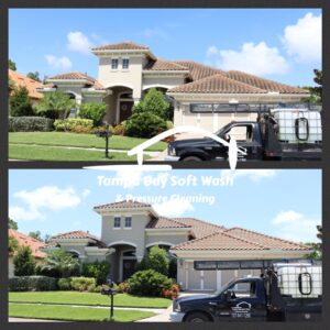 Gallery image 9 — roof cleaning Clearwater FL