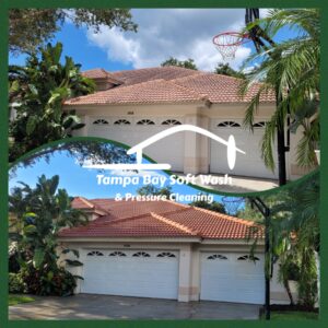 Gallery image 15 — roof cleaning Clearwater FL