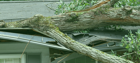 Gallery image 10 — storm damage roof inspection Orange County