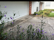 Gallery image 3 — JR Pressure Cleaning