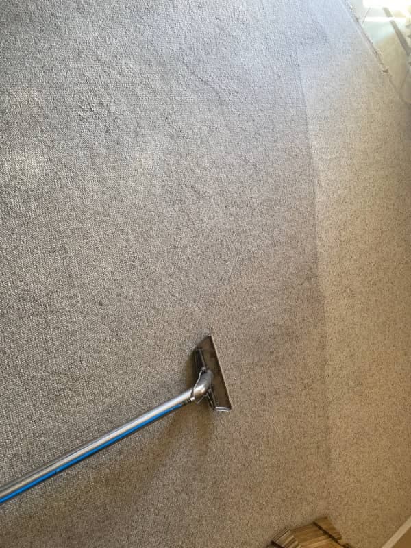 professional carpet cleaners Phoenix AZ