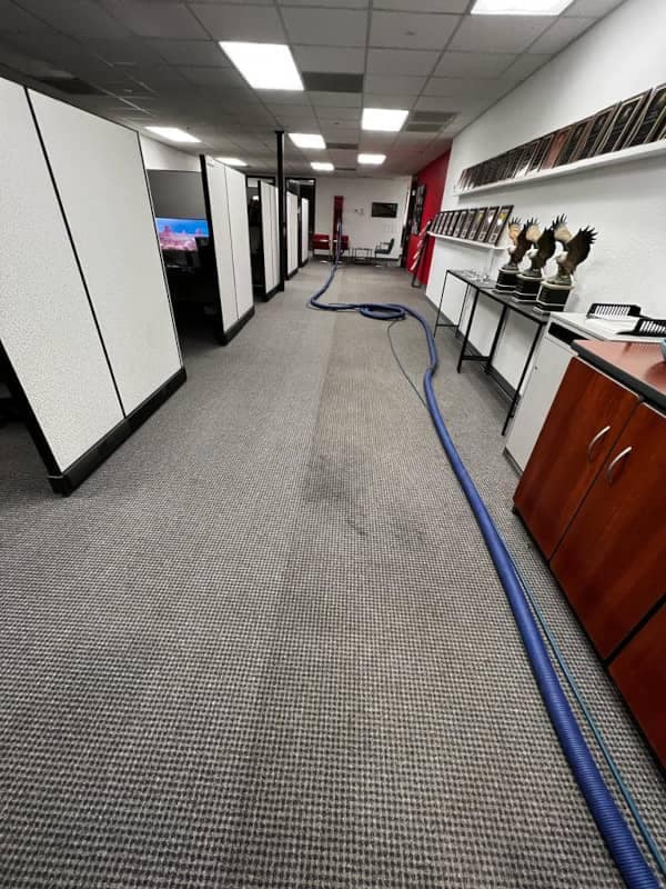 Gallery image 7 — eco friendly carpet cleaning Phoenix