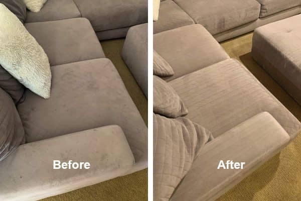 Gallery image 3 — eco friendly carpet cleaning Phoenix