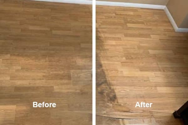 Gallery image 1 — eco friendly carpet cleaning Phoenix