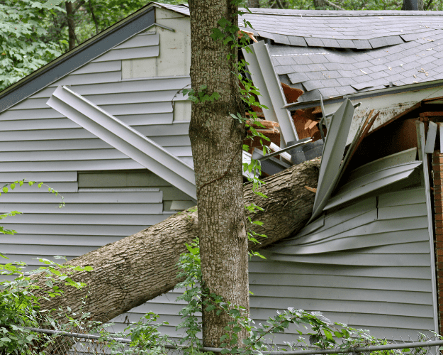 Gallery image 3 — storm damage roof repair Central Florida