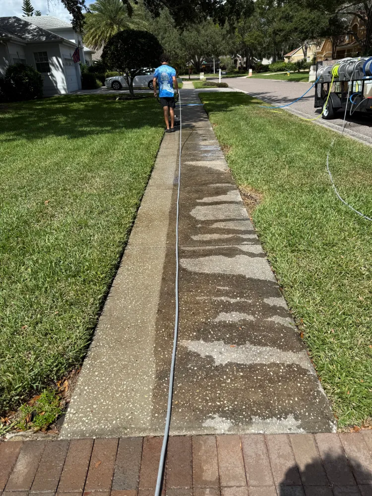 About house washing Tampa Bay