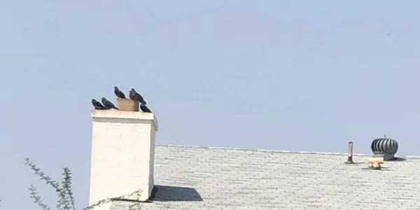 About chimney cleaning in Mesa