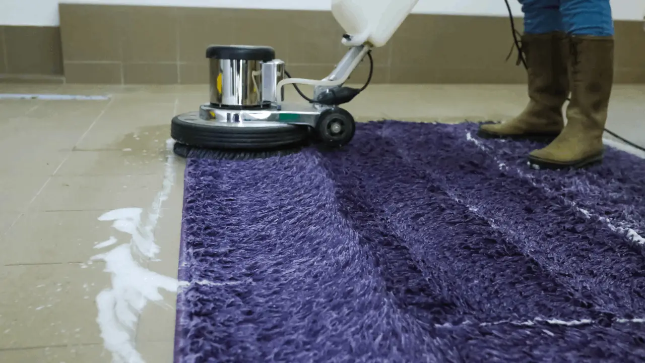Gallery image 6 — carpet cleaning in NYC