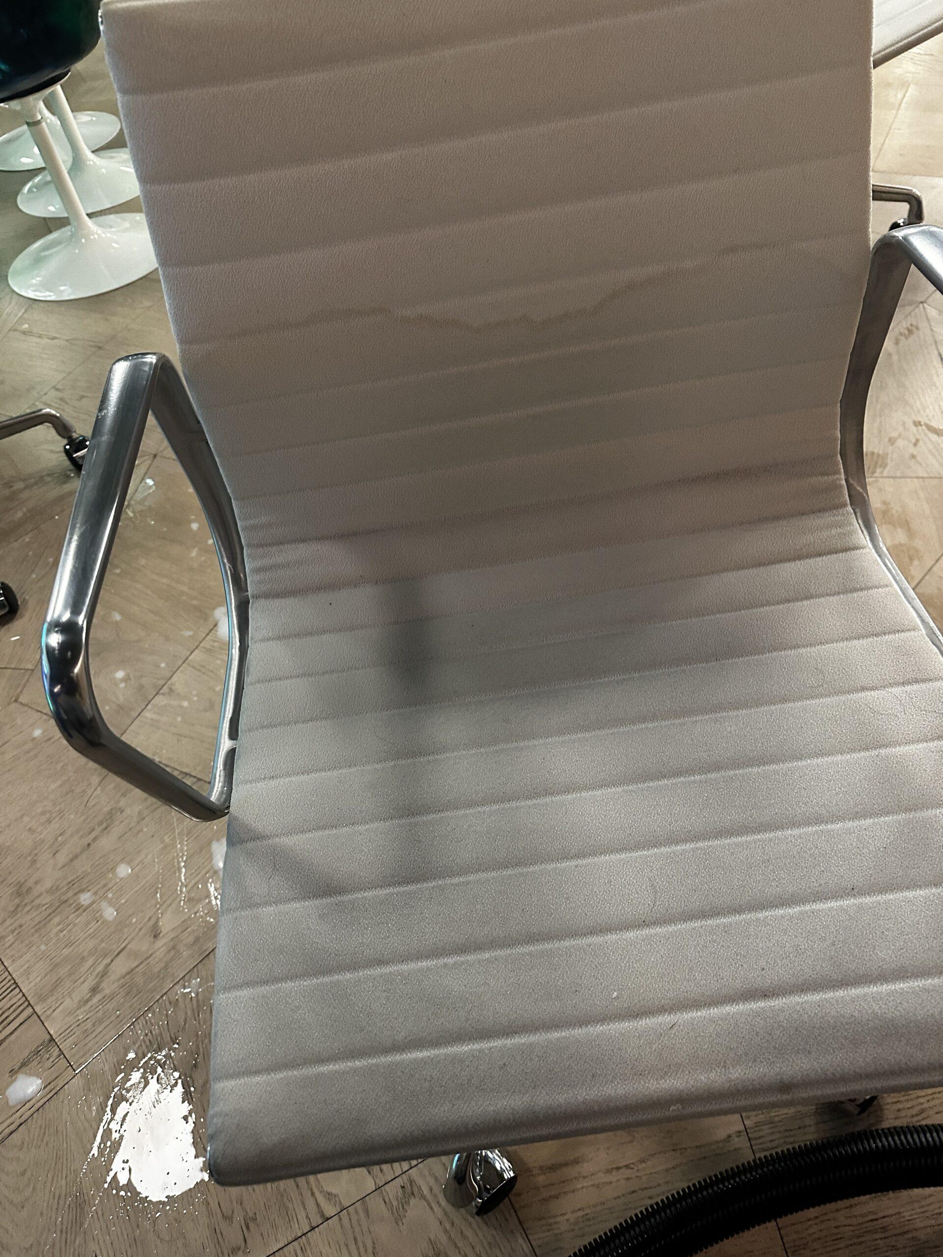 pet odor removal service NYC