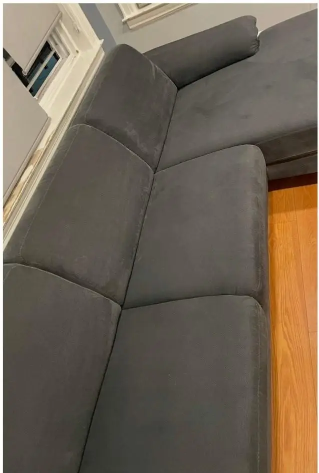 Gallery image 6 — pet odor removal service NYC