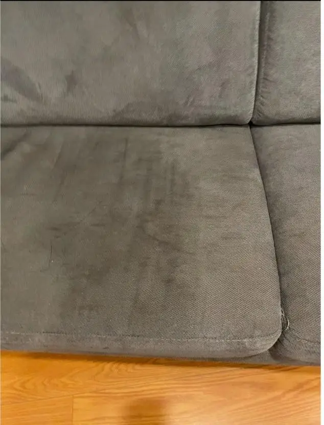 Gallery image 5 — pet odor removal service NYC