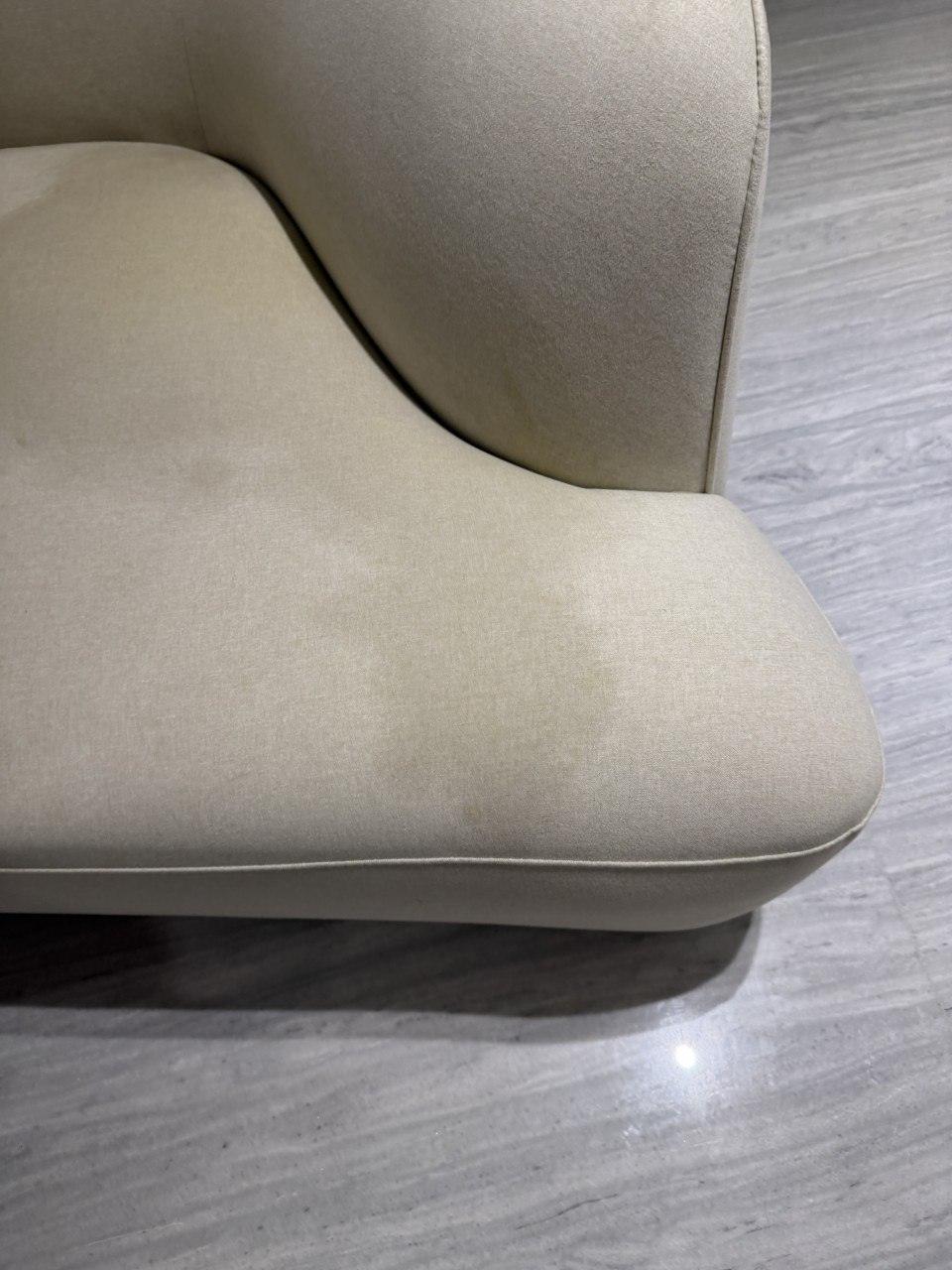 Gallery image 8 — pet odor removal service NYC