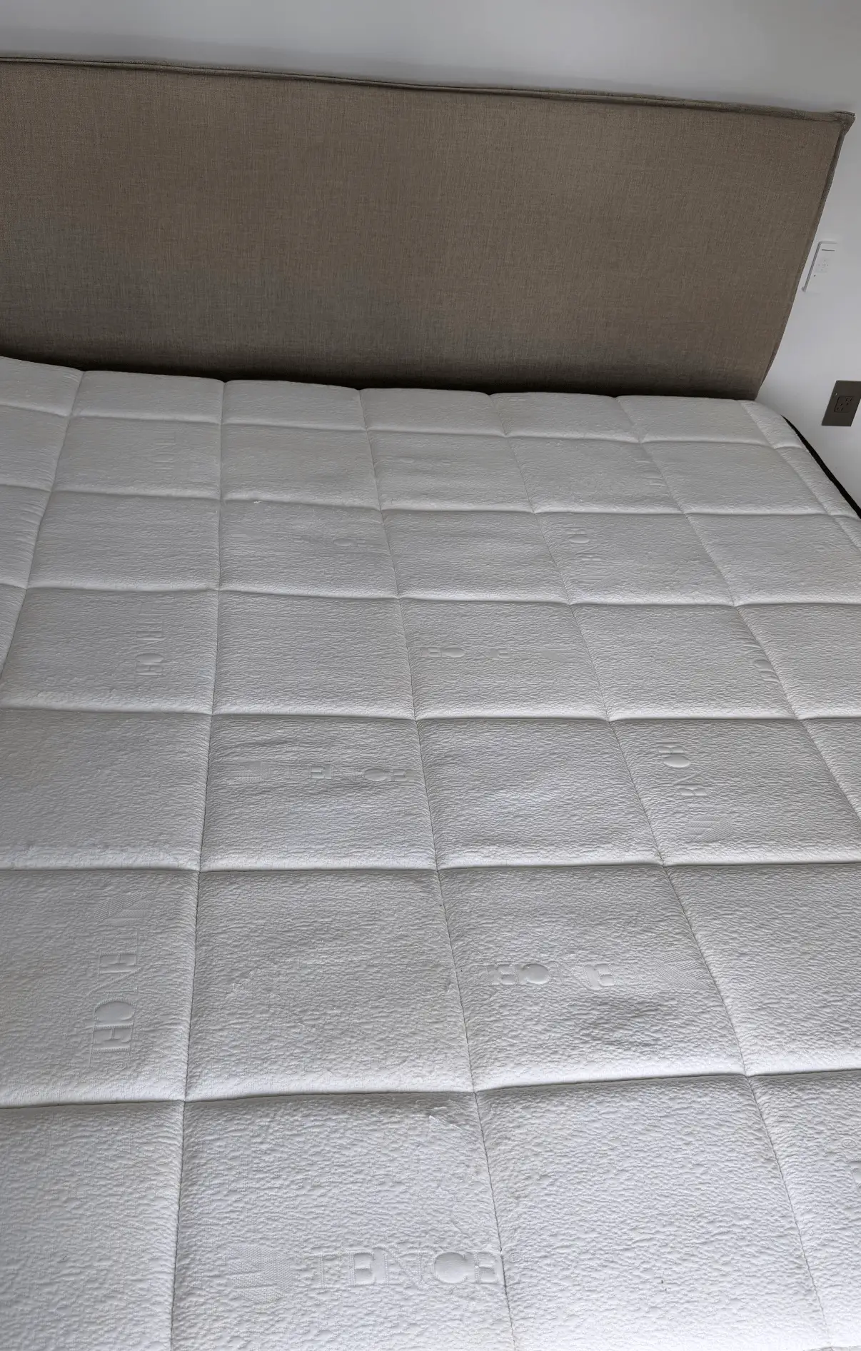 pet odor removal service NYC