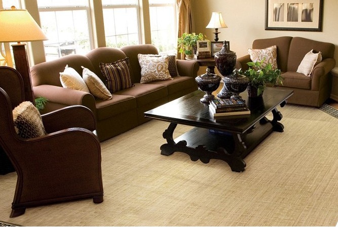 Gallery image 5 — professional rug stain removal Brooklyn