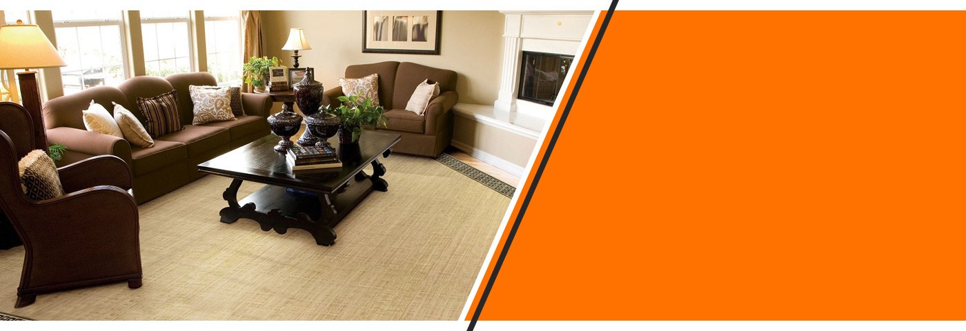 Gallery image 1 — professional rug stain removal Brooklyn