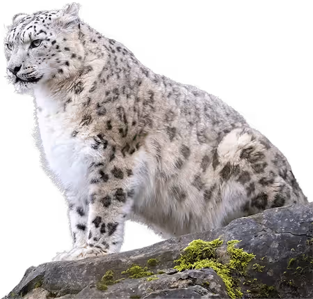 Gallery image 6 — 24/7 plumbing services in San Mateo County