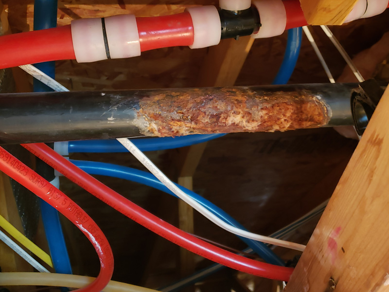 Gallery image 3 — polybutylene repipe in Arizona