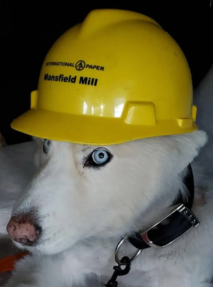 appliance removal near me