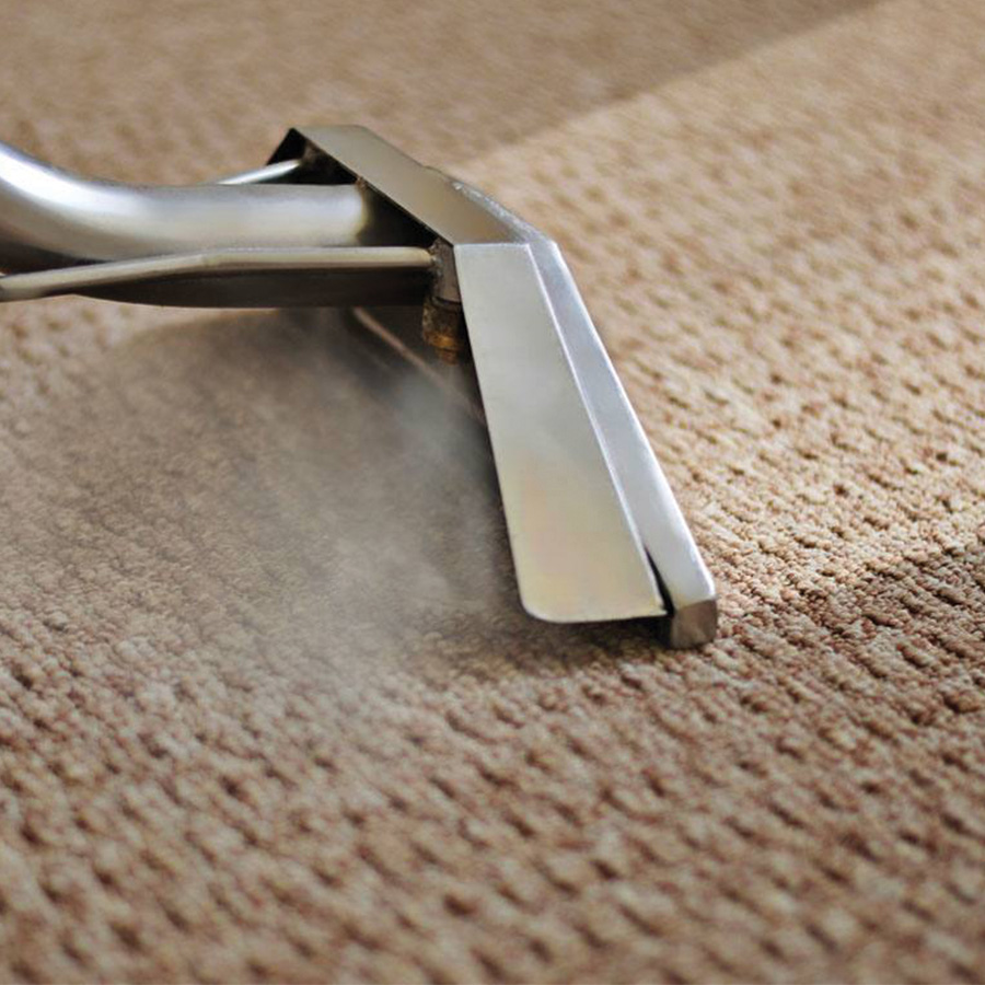 emergency carpet cleaning Chicago