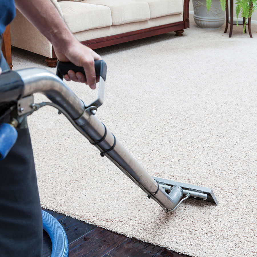 emergency stain removal Chicago