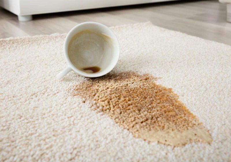 Gallery image 6 — rug cleaning service Chicago