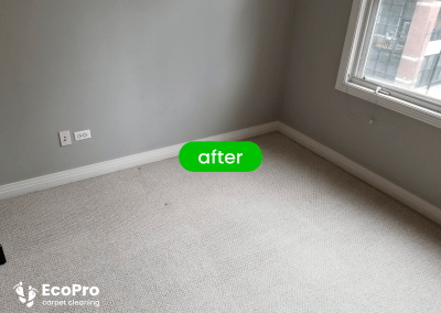 Gallery image 23 — best carpet cleaners in Chicago