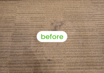 Gallery image 15 — best carpet cleaners in Chicago