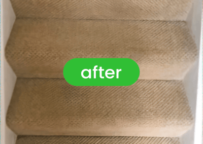 Gallery image 4 — best carpet cleaners in Chicago