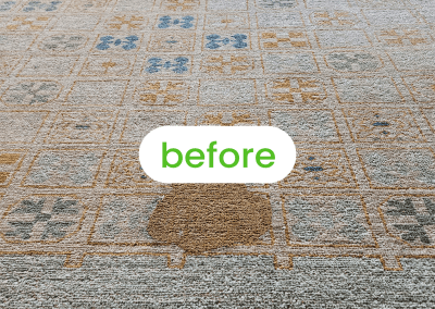 Gallery image 2 — best carpet cleaners in Chicago