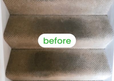 Gallery image 9 — best carpet cleaners in Chicago