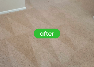 Gallery image 18 — best carpet cleaners in Chicago