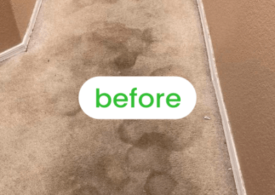 Gallery image 24 — best carpet cleaners in Chicago