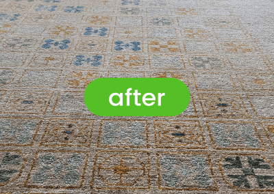 Gallery image 20 — best carpet cleaners in Chicago