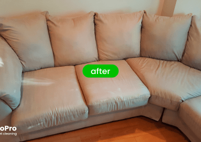 Gallery image 10 — best carpet cleaners in Chicago