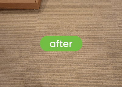 Gallery image 13 — best carpet cleaners in Chicago