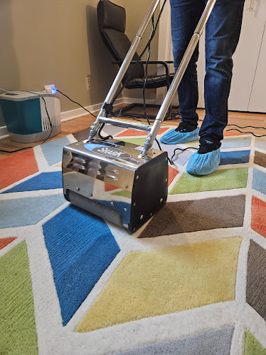 About best carpet cleaners in Chicago
