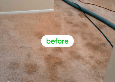 Gallery image 28 — best carpet cleaners in Chicago