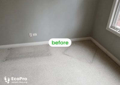 Gallery image 17 — best carpet cleaners in Chicago