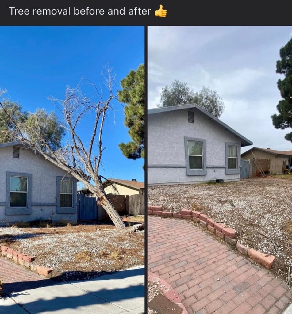 Gallery image 8 — commercial lot clearing Surrounding Communities