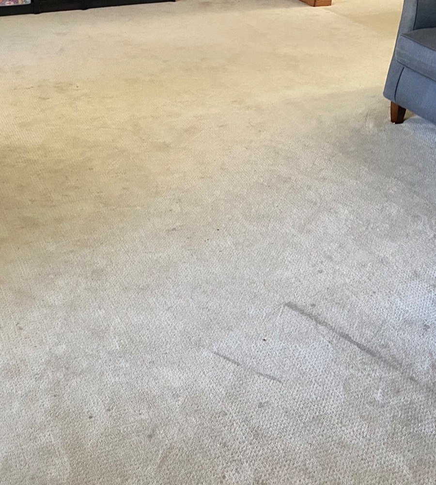 area rug cleaning Chicago