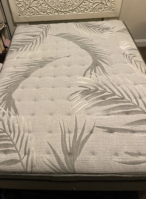 About upholstery cleaning near me