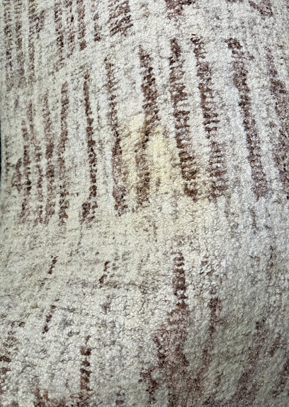 Gallery image 5 — area rug cleaning Chicago