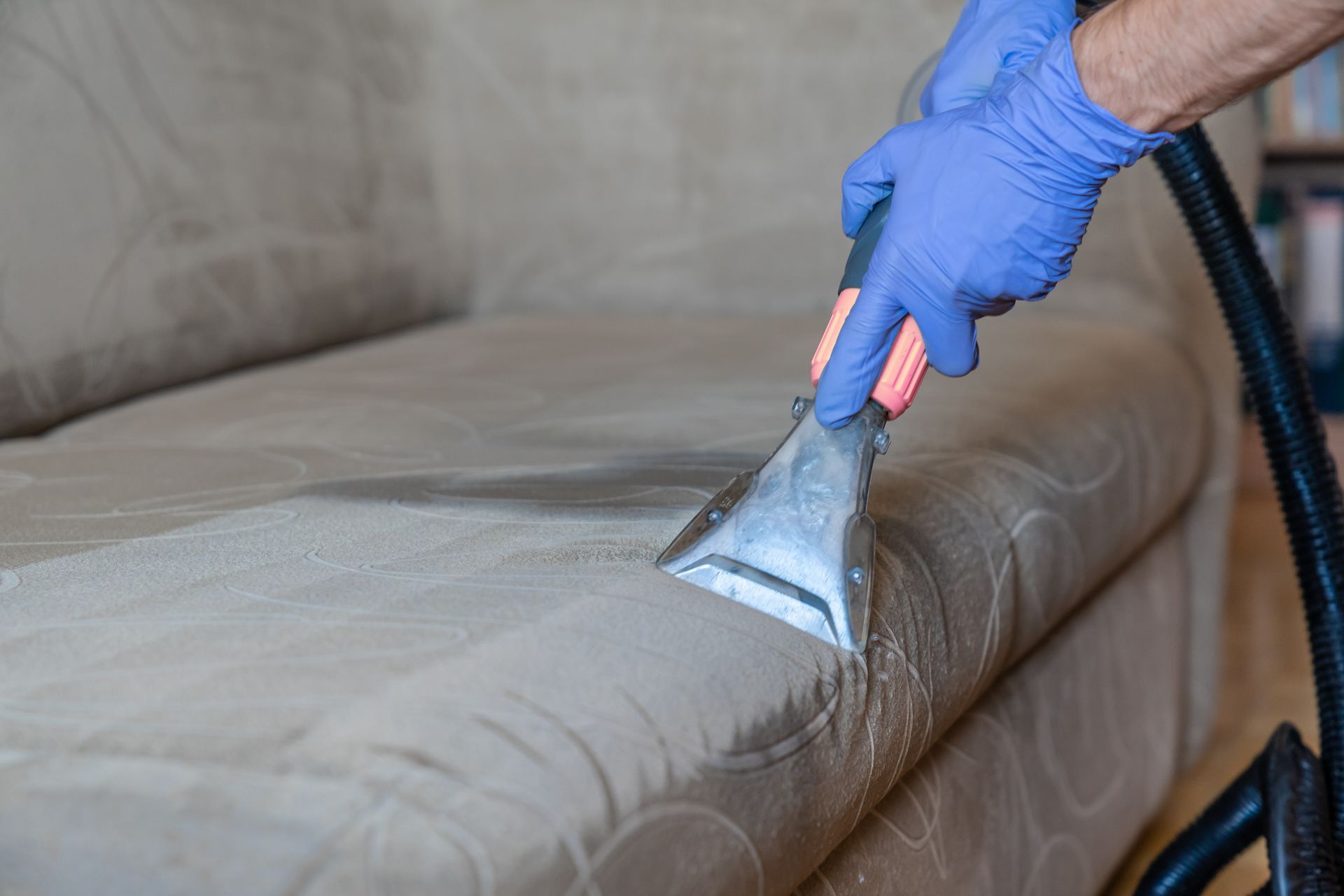 Gallery image 3 — affordable carpet cleaning Chicago Carpet Revival