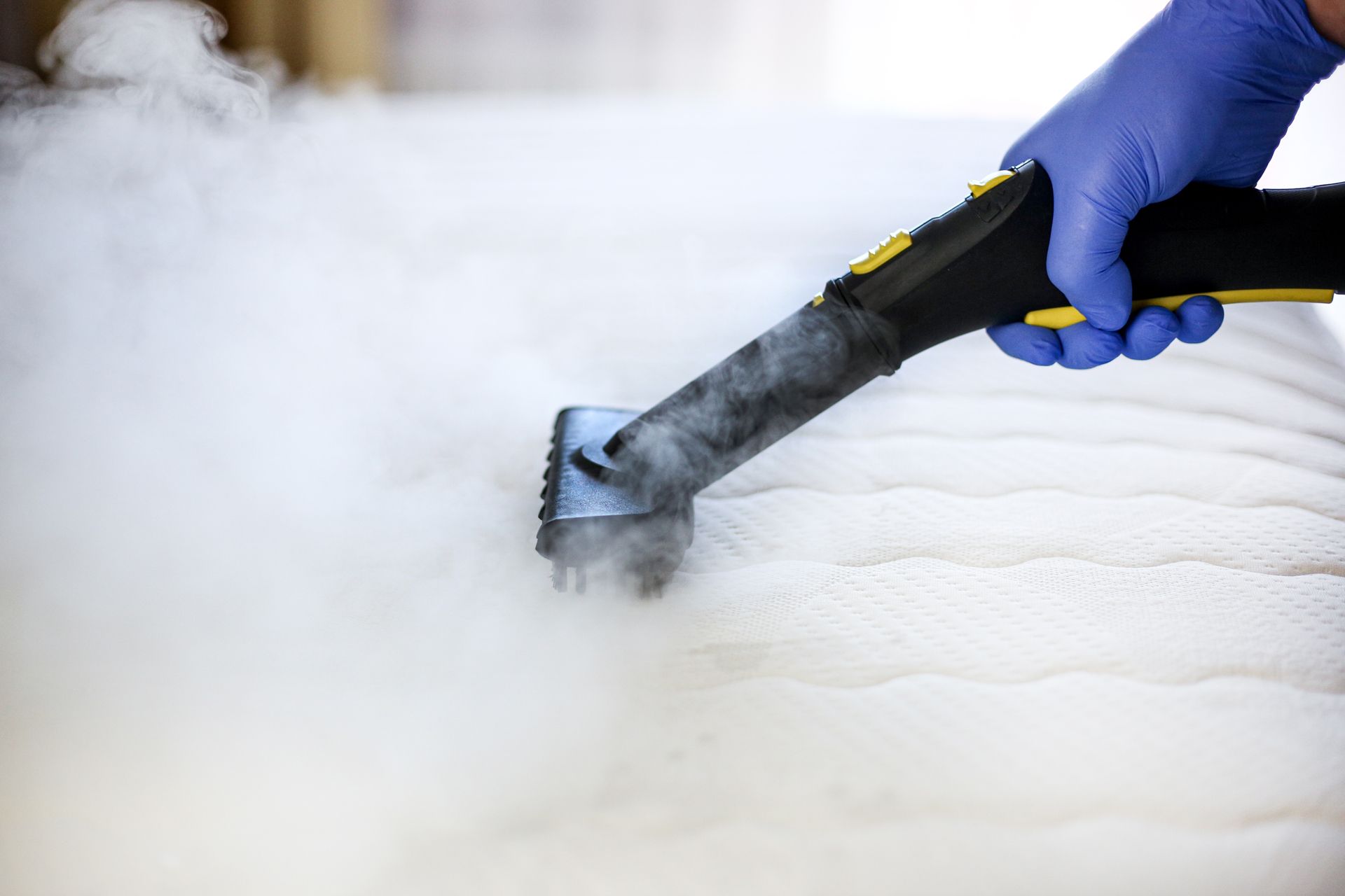 Gallery image 5 — affordable carpet cleaning Chicago Carpet Revival