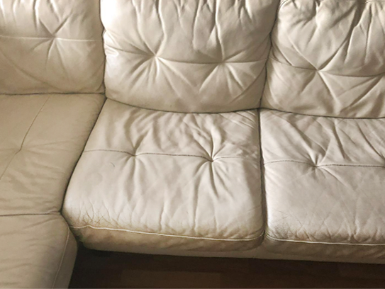 Gallery image 2 — carpet cleaning NYC